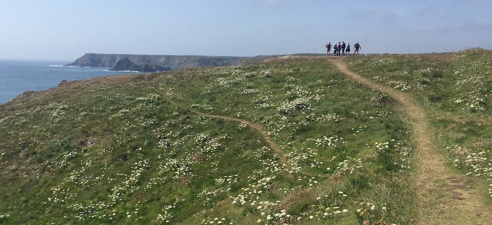 SW Coast Path Lizard to Kynance Cover