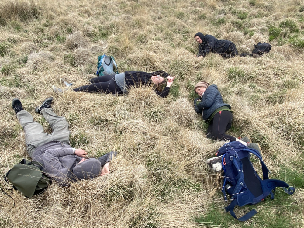 Four walkers rest on the ground in long grasses