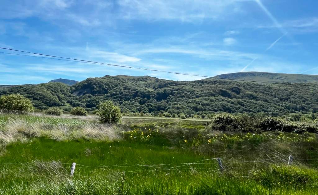 A view of the coastal welsh hills near the Mawddach estuary on a sunny day, grassy marshlands in foreground