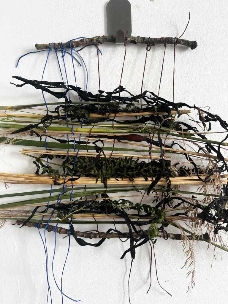 A small handmade weaving made of sticks, grasses and seaweed
