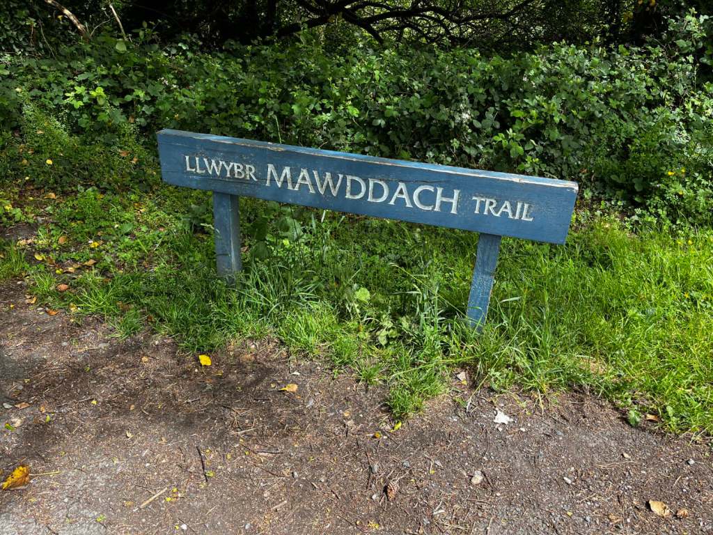 A blue sign at the edge of a footpath reading "LLWYBR MAWDDACH TRAIL"
