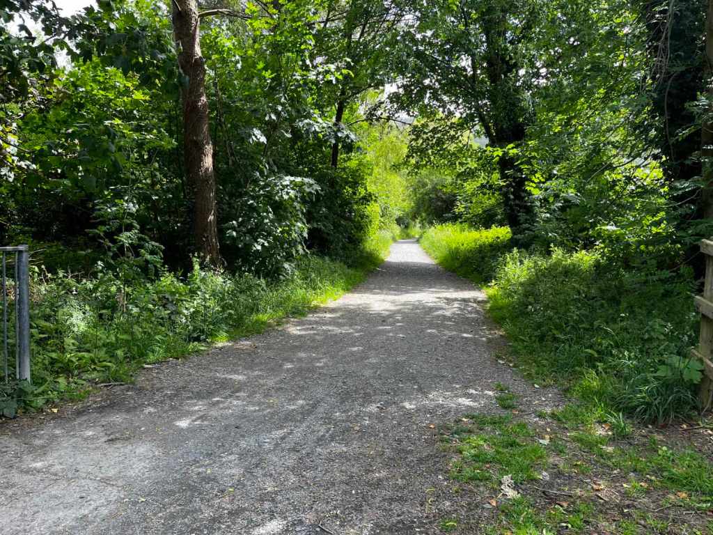 A wide, flat path with tree lined sides, sunlight falling through branches